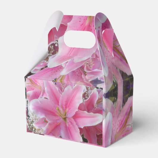 Tommasina Geschenkschachtel (Rückseite)