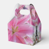Tommasina Geschenkschachtel (Rückseite)