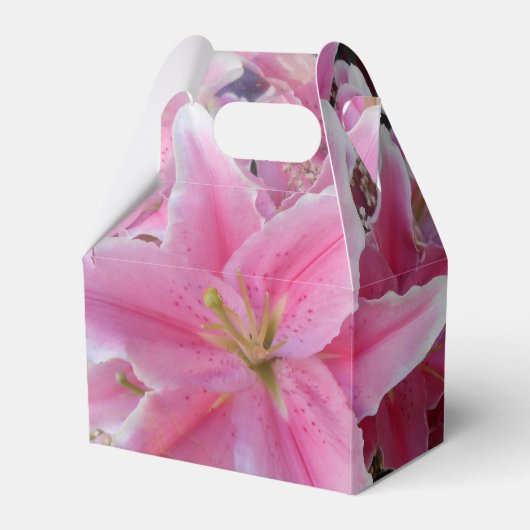 Tommasina Geschenkschachtel (Vorderseite)