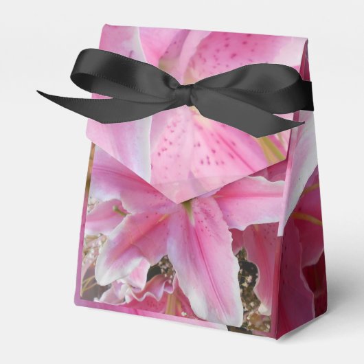 Tommasina Geschenkschachtel (Vorderseite)
