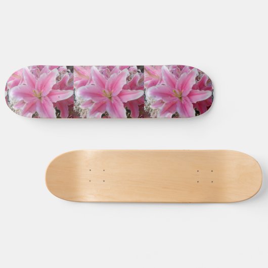 Tommasina Skateboard (Horizontal)