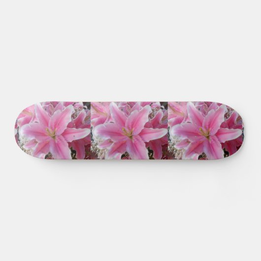 Tommasina Skateboard (Horizontal)