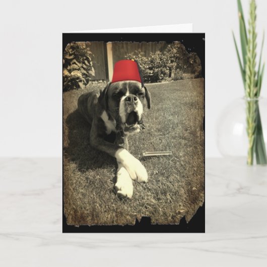 Tommy Cooper Boxer Dog Karte (Vorderseite)