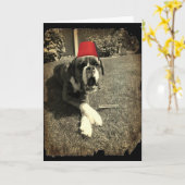 Tommy Cooper Boxer Dog Karte (Gelbe Blume)