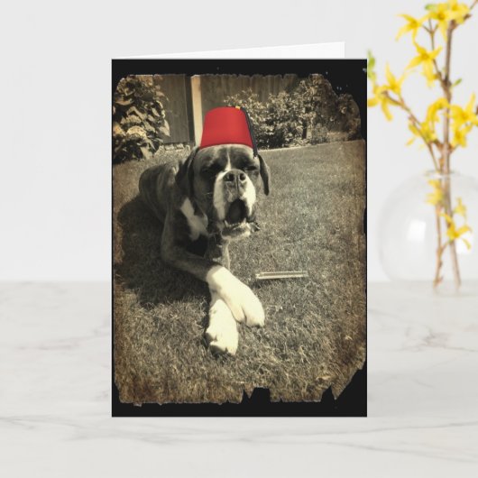 Tommy Cooper Boxer Dog Karte (Gelbe Blume)