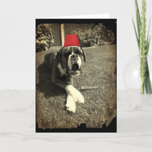 Tommy Cooper Boxer Dog Karte