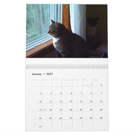 Tommy der Tabby Kalender (Jan 2027)