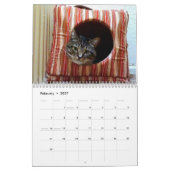Tommy der Tabby Kalender (Feb 2027)