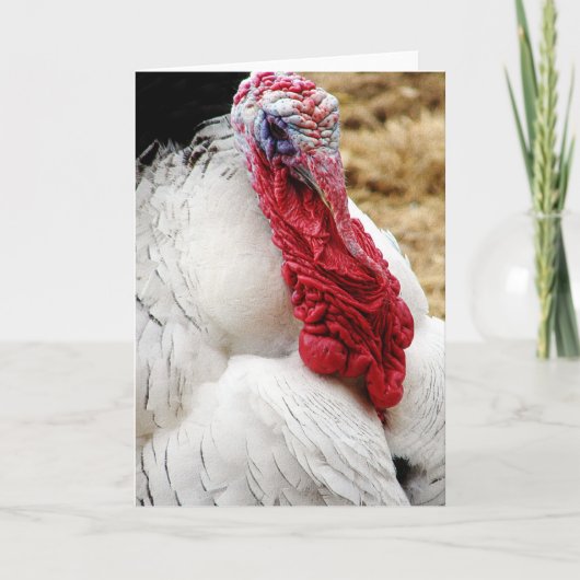 Tommy Karte (Vorderseite)