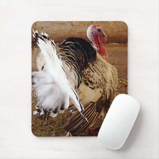 Tommy Mousepad (Mit Mouse)