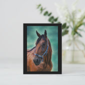 Tommy Standardbred Pferde Art Postkarte (Stehend Vorderseite)