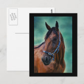 Tommy Standardbred Pferde Art Postkarte (Vorne/Hinten)