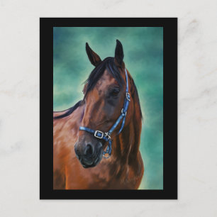 Tommy Standardbred Pferde Art Postkarte