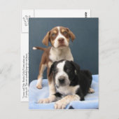 Tommy & Toby Postkarte (Vorne/Hinten)