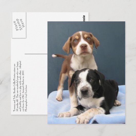 Tommy & Toby Postkarte (Vorne/Hinten)