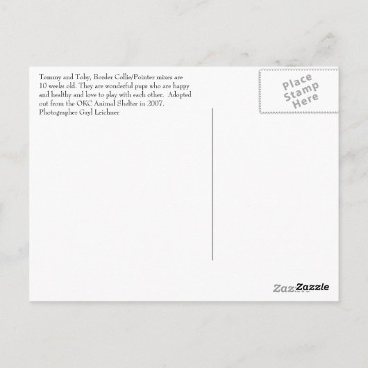 Tommy & Toby Postkarte (Rückseite)