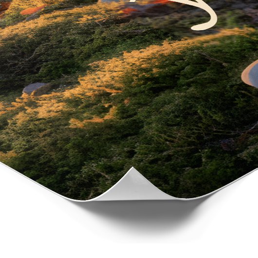 Tomorr Poster (Ecke)