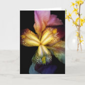 Toms Ire Card Karte (Gelbe Blume)