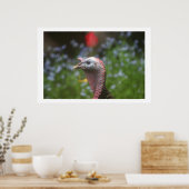 Toms Pieptine Poster (Küche)