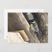 tomtit_1 postkarte (Vorne/Hinten)