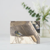 tomtit_3 postkarte (Stehend Vorderseite)