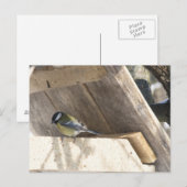 tomtit_3 postkarte (Vorne/Hinten)