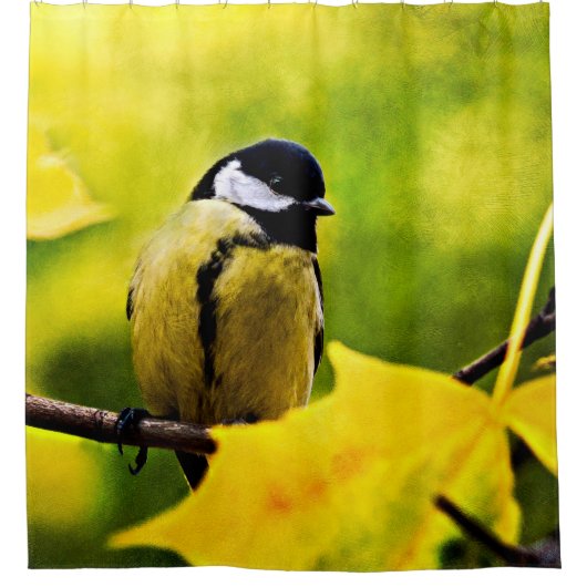 Tomtit - bis zur Saison verkleidet Duschvorhang (Vorderseite)