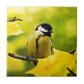 Tomtit - bis zur Saison verkleidet Fliese (Vorderseite)