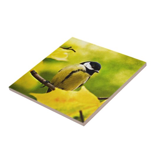 Tomtit - bis zur Saison verkleidet Fliese (Seite)