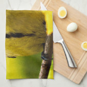 Tomtit - bis zur Saison verkleidet Handtuch (Viertel Falte)