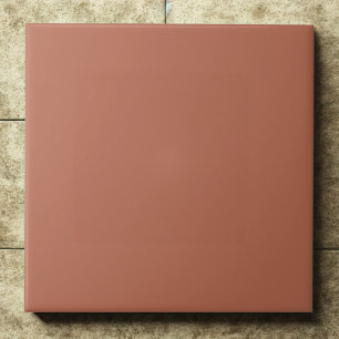 Ton #b66a50 – Warm, Mild, Natürliches Orange Fliese