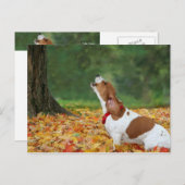 Ton des Alarms Postkarte (Vorne/Hinten)