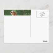 Ton des Alarms Postkarte (Rückseite)