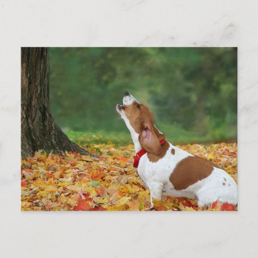 Ton des Alarms Postkarte (Vorderseite)