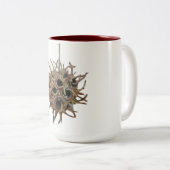 Ton Sweetgum Hülse 2 15 Unze. Tasse (1 von 4) (VorderseiteRechts)