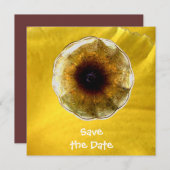 Ton von Musik Einladung (Vorne/Hinten)