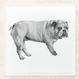 Tonal Bulldog Untersetzer