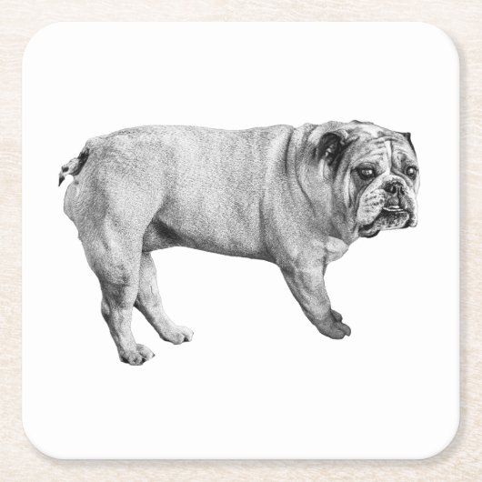 Tonal Bulldog Untersetzer (Vorderseite)