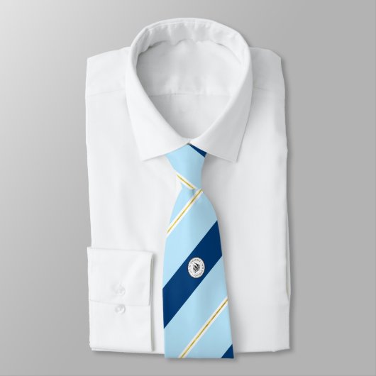 Tonawanda (New York) Stadtflagge Neck Tie Krawatte (Gebunden)