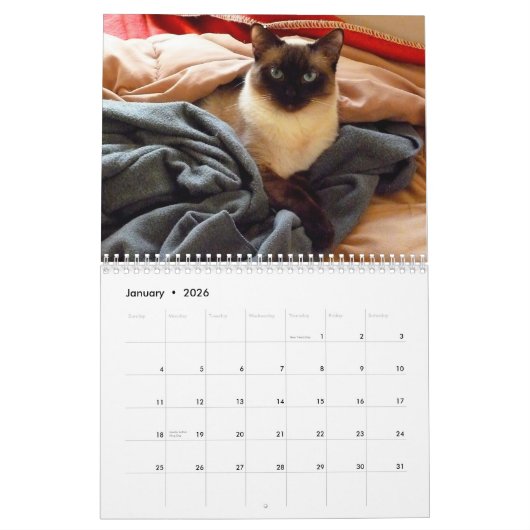 Tönen Sie tönen die siamesische Katze Kalender (Jan 2026)