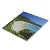 Tonga Bay, Abel Tasman NP, South Island, New Fliese (Seite)