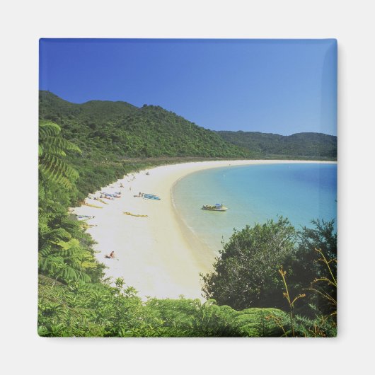 Tonga Bay, Abel Tasman NP, South Island, New Magnet (Vorne)