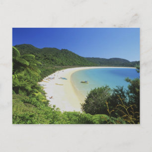 Tonga Bay, Abel Tasman NP, South Island, New Postkarte