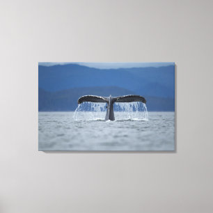 Tongass staatlicher Wald, Buckel Leinwanddruck