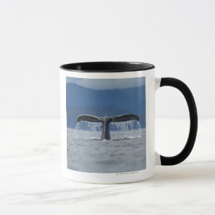 Tongass staatlicher Wald, Buckel Tasse