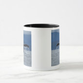 Tongass staatlicher Wald, Buckel Tasse (Zentrum)