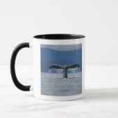 Tongass staatlicher Wald, Buckel Tasse (Links)