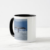 Tongass staatlicher Wald, Buckel Tasse (Vorderseite Links)
