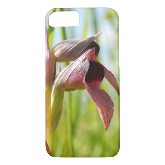 Tongue Orchid iPhone Case (Rückseite)