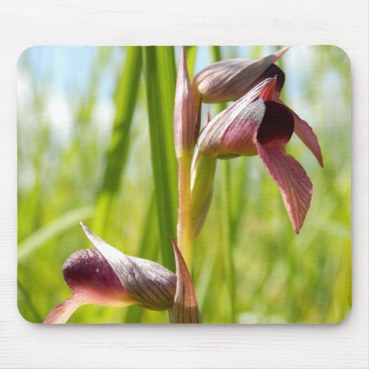 Tongue Orchid Mouse Mat Mousepad (Vorne)